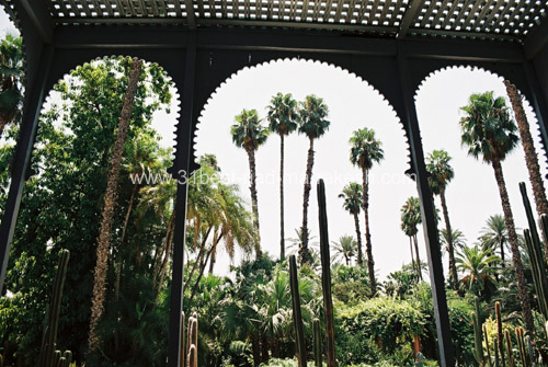 Photos of Majorelle Botanical Garden owned by Yves Saint-Laurent in Marrakech